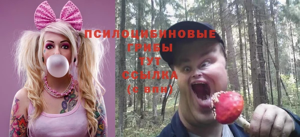гидра Алзамай