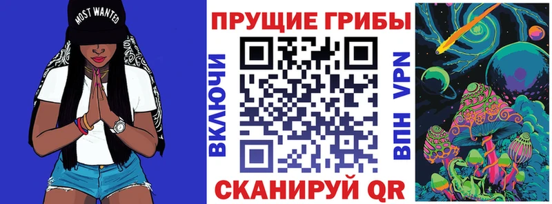 Галлюциногенные грибы Magic Shrooms mega как зайти Камень-на-Оби